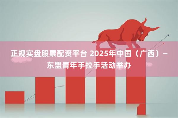正规实盘股票配资平台 2025年中国（广西）—东盟青年手拉手活动举办